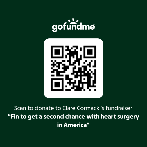 QR code to donate to Fin's GoFundMe fundraiser